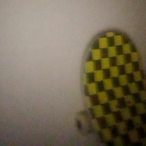 Meet your Posher, Turtle - Picture 1 of 1